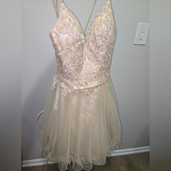 Chic Beige Embellished Gown - Picture 5 of 11